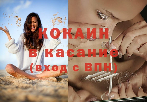 мдпв Дмитровск
