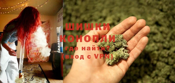 мдпв Вязьма