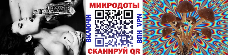 kraken как зайти  Горно-Алтайск  shop телеграм  Галлюциногенные грибы Cubensis 