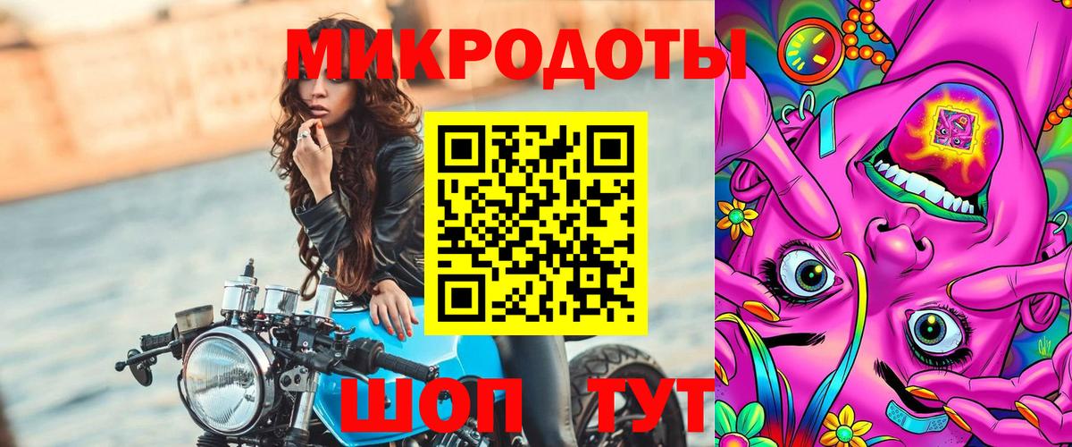 Галлюциногенные грибы Psilocybe  Горно-Алтайск  Псилоцибиновые грибы мицелий 