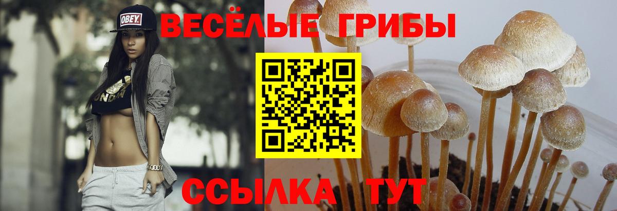 Псилоцибиновые грибы Magic Shrooms  Псилоцибиновые грибы мухоморы  Вход с VPN  Горно-Алтайск 